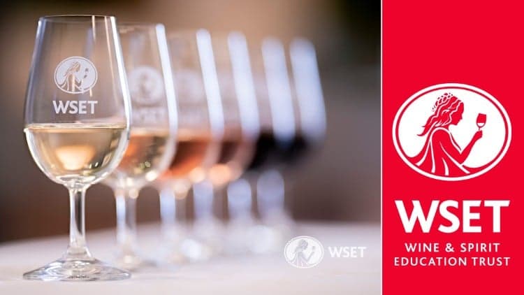 WSET Level 1 Award in Wine Course (exam sold separately)